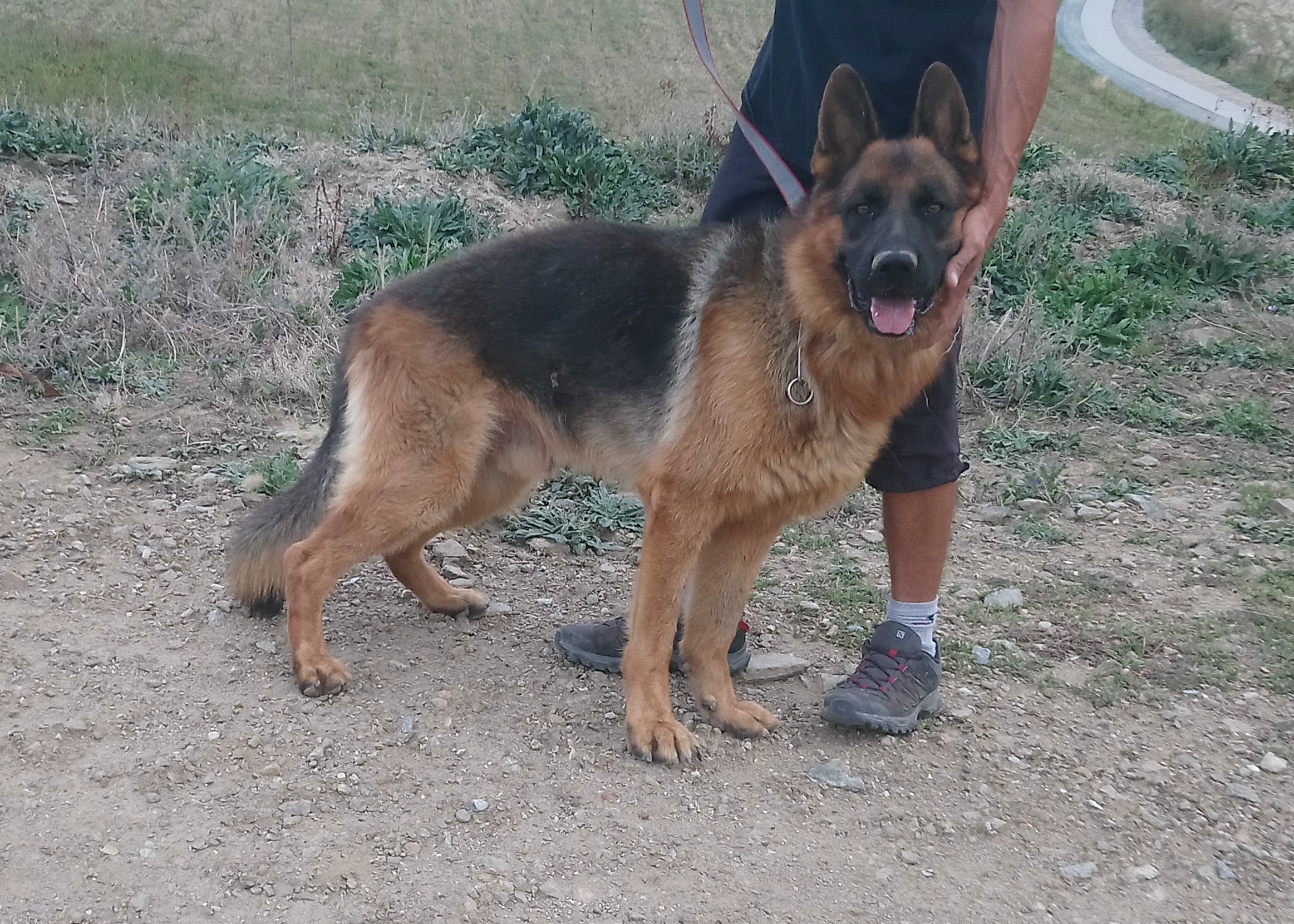 Mika de la Champagniere